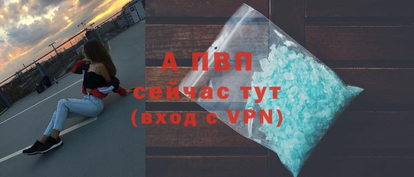 шишки Козельск